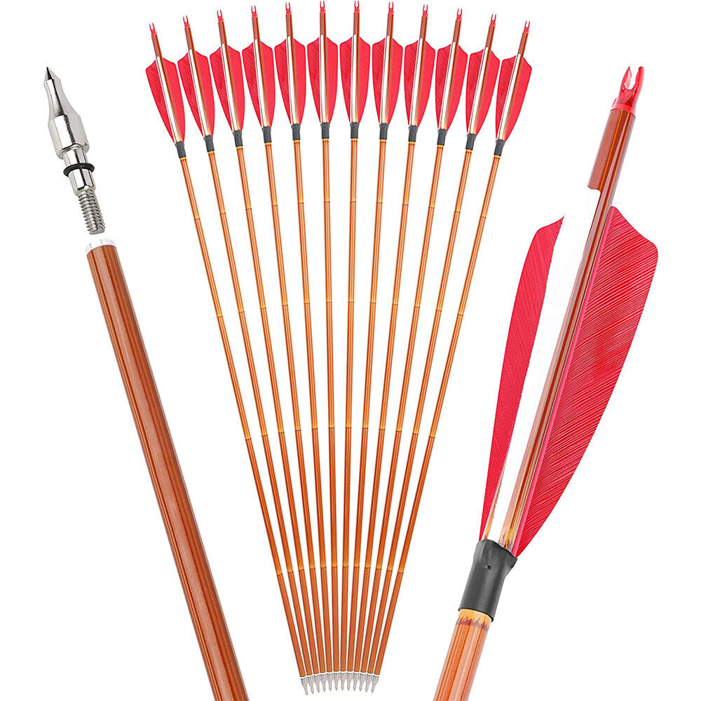 12pcs Archery 30" Carbon Arrows 4" Feathers SP500 Compound Recurve Bow Target Hunting